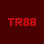 Tr8881 it com Profile Picture