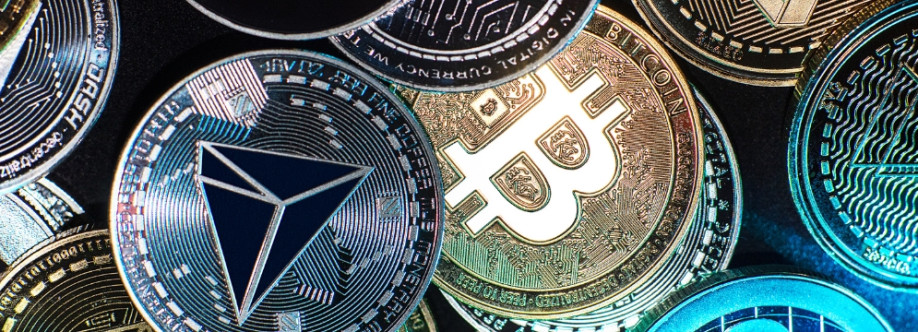 Crypto Logistic Cover Image