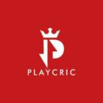 Playcric News Profile Picture