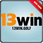 13win golf Profile Picture