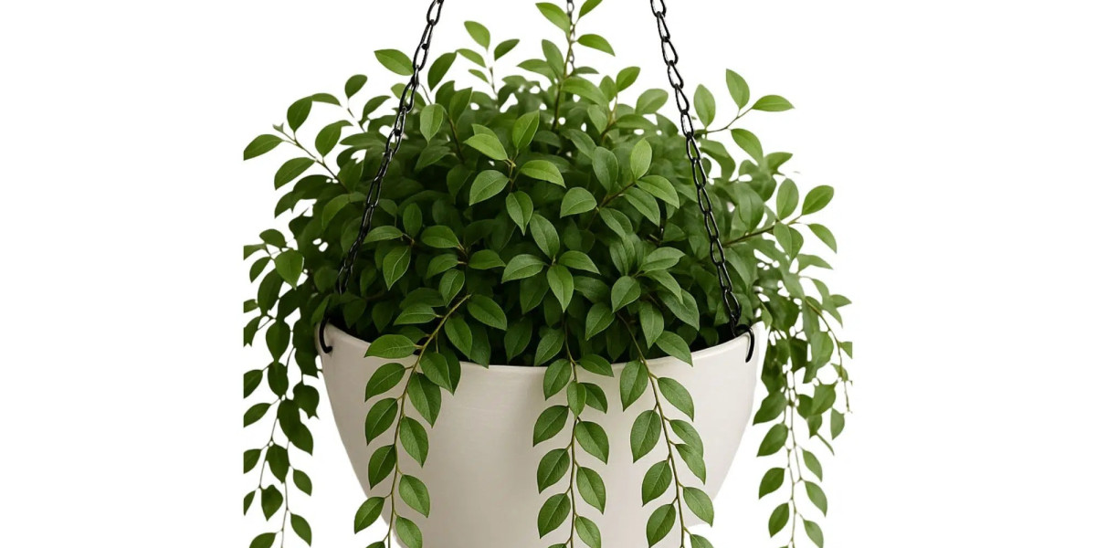 Adding Warmth and Personality With Indoor Hanging Pots