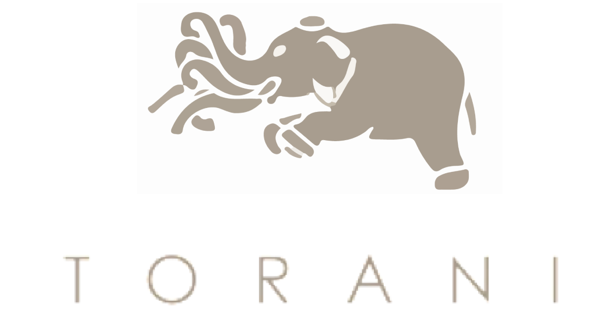 Crafting Memories in Couture: Torani’s Designer Collections for the Ne  – Torani India