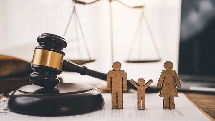 How To Find The Top Lawyer in Delhi for Your Legal Requirements?