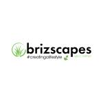Brizscapes Profile Picture