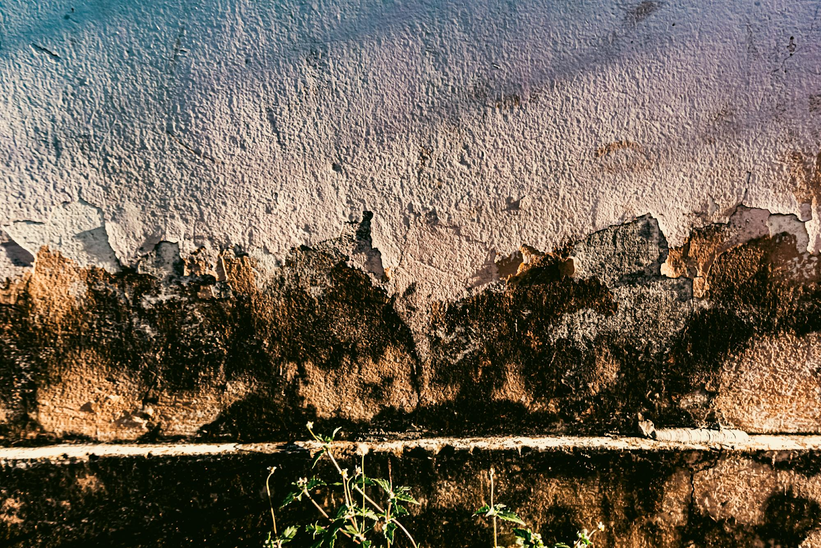 Early Signs of Structural Damage from Moisture in Buildings