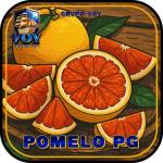 POMELOPG Profile Picture