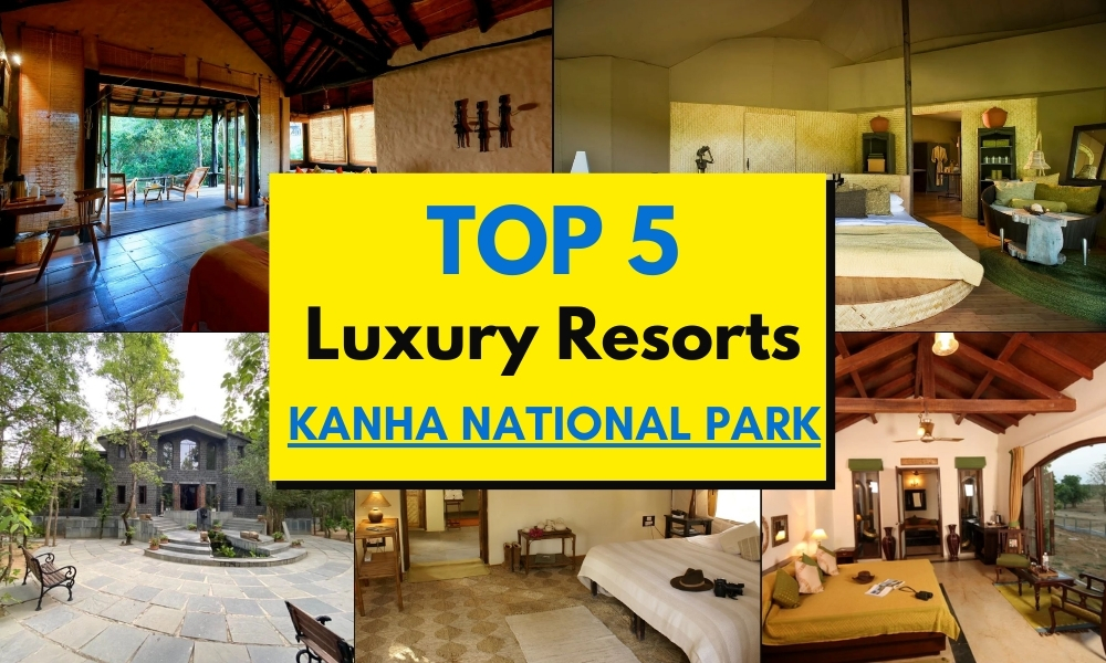 Top 5 Luxury Resorts in Kanha National Park for Nature & Wildlife Lovers - Newsglo