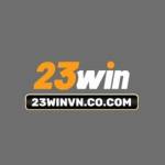 23WIN Profile Picture