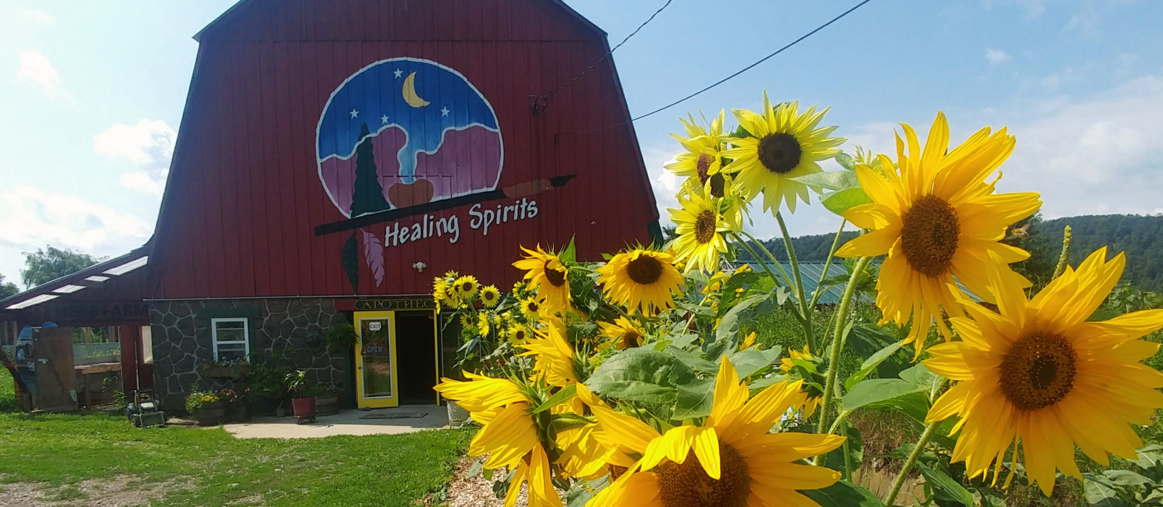 Sunil Bajaj | Profile