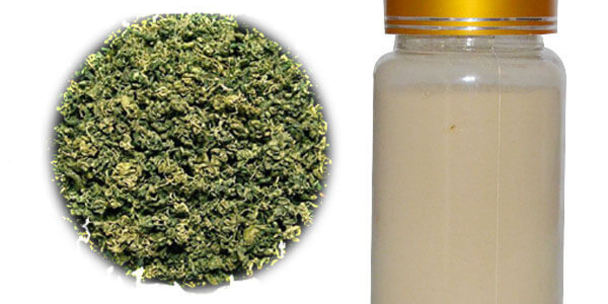 The Vining Supply Chain: Gynostemma Extract from Chinese Producers