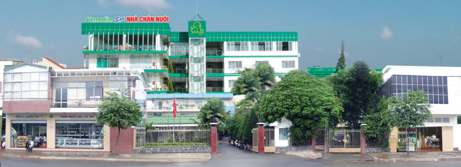 VEMEDIM CORPORATION Cover Image