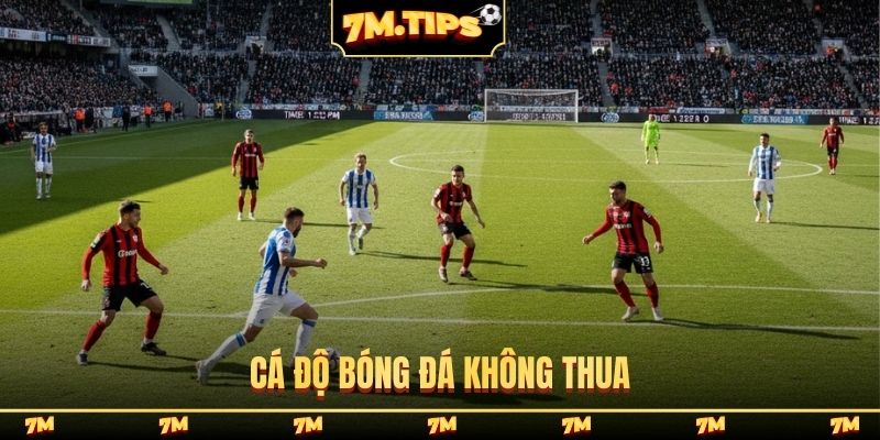 Cá độ bóng đá không thua học lỏm cao thủ 10+ năm trong nghề