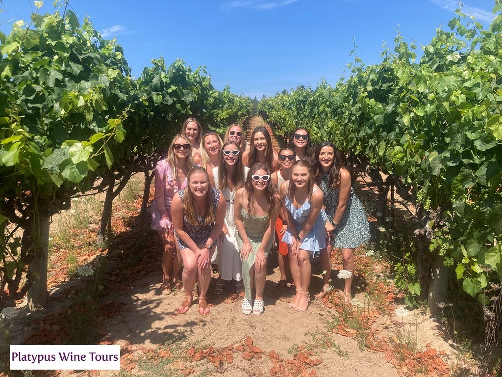 From Scenic Roads to Cellar Doors: Touring Napa Valley Made Simple – Vibe Writes