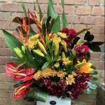 The Flower Merchant Profile Picture