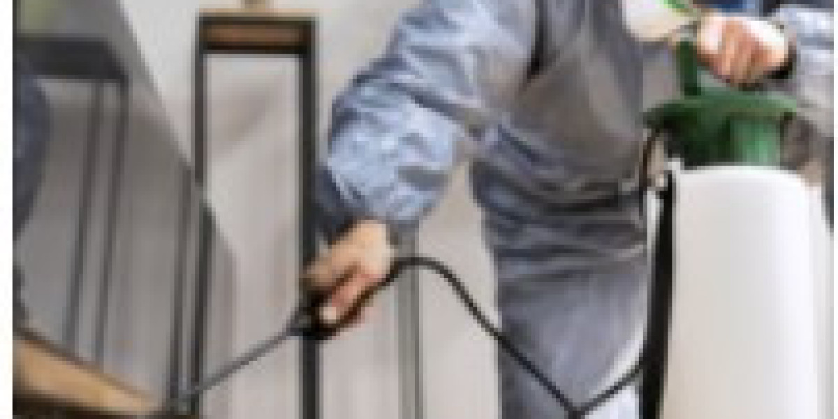 Bed Bug Exterminator Near Me: A Practical Guide to Ending Infestations for Good