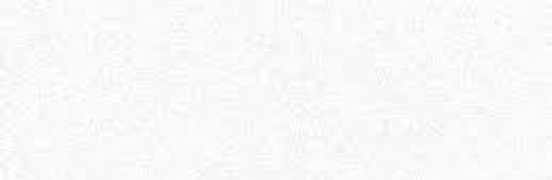 Saleem Akram Cover Image