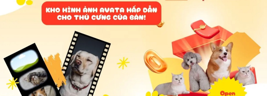 Avatarexpress Cover Image