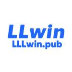 lllwin pub Profile Picture