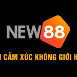 New88 Profile Picture