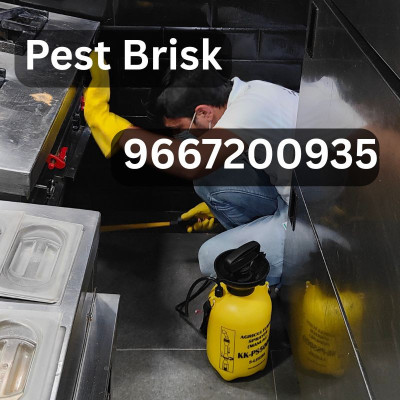 Pest Brisk: Expert Termite Control Delhi NCR Profile Picture