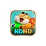 ndnd Profile Picture