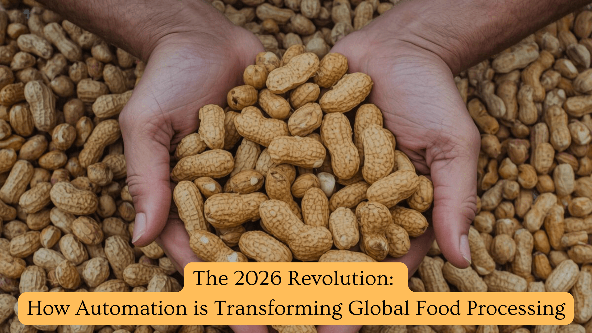 2026 Food Processing Innovation | Swastik Technology Solutions - Peanut Processing Plant in India