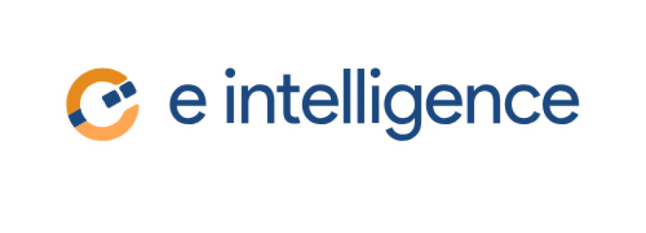eintelligence web Cover Image