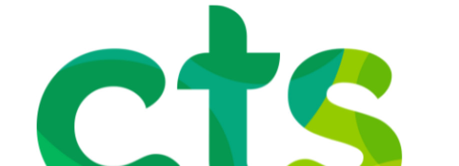 CTS Chinese Translation Services Cover Image