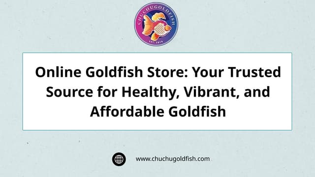 Online Goldfish Store: Your Trusted Source for Healthy, Vibrant, and Affordable Goldfish | PPTX