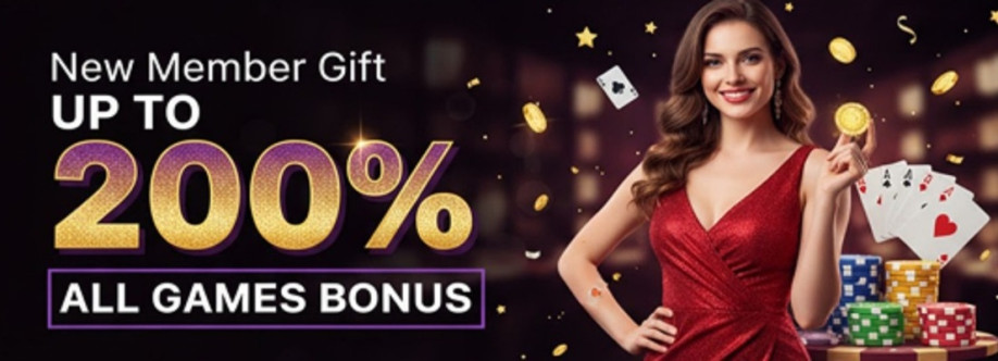 Six6scasino net Cover Image