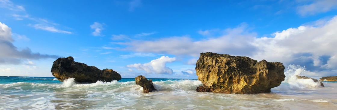 Exclusive Transportation Services Cover Image