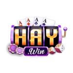 haywincocom Profile Picture