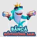 Bancadoithuong sarl Profile Picture