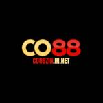 Co88zin in net Profile Picture