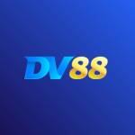 Ceo DV88 Hà Anh Tuấn Profile Picture