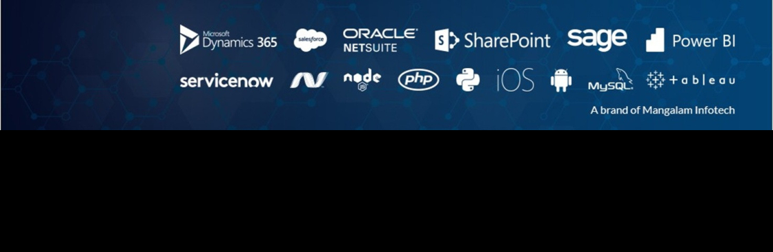 TechWize IT Consultancy Cover Image