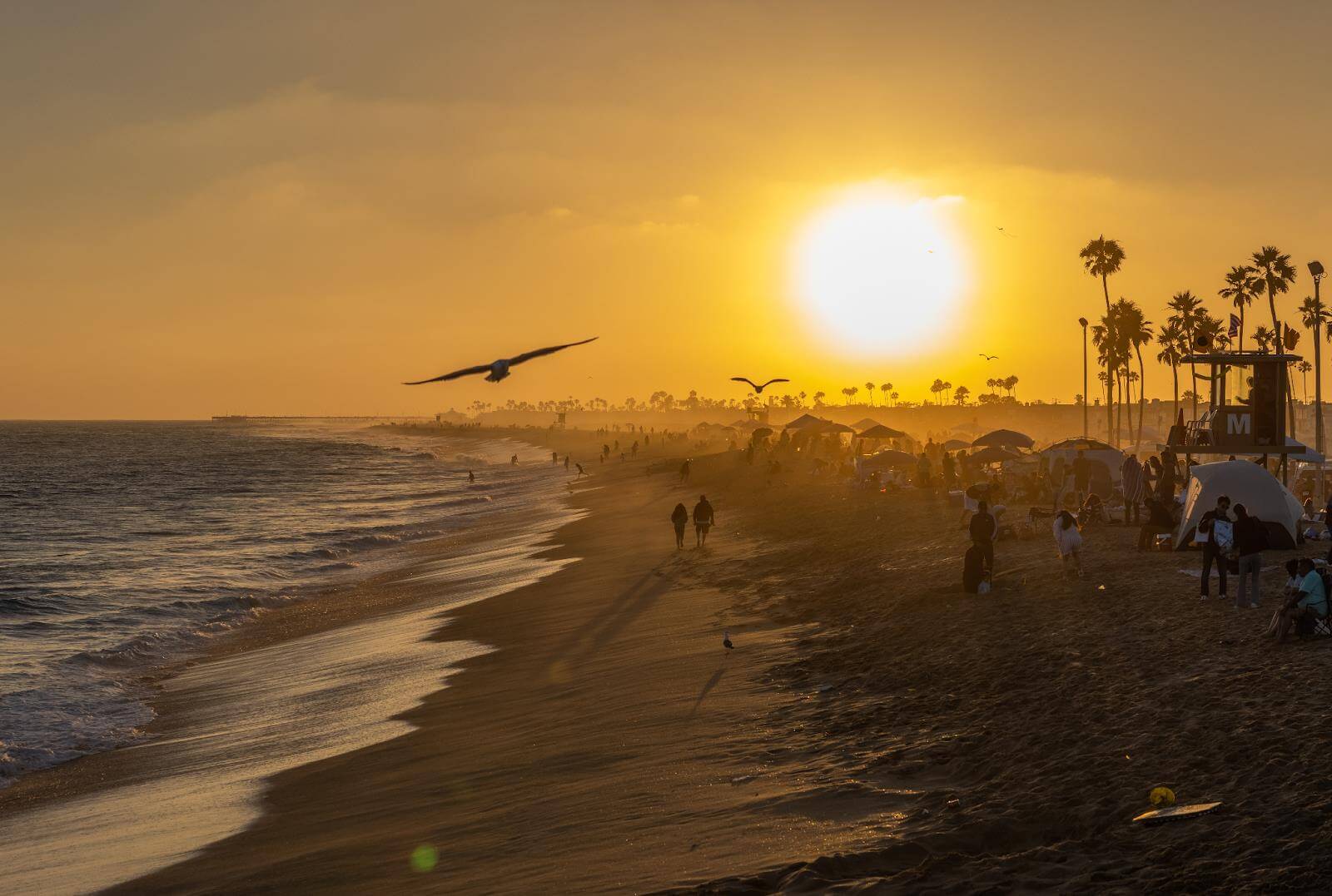 Alcohol Detox Newport Beach CA | Detox Concierge