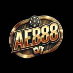 AE888 Casino Profile Picture