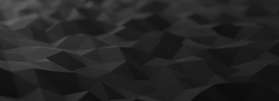 Heli Herlevi Cover Image