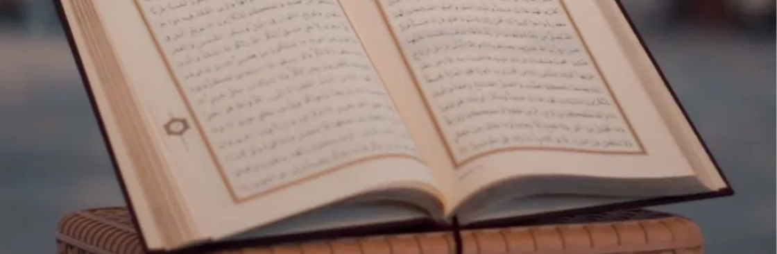 fodofo9016 Cover Image