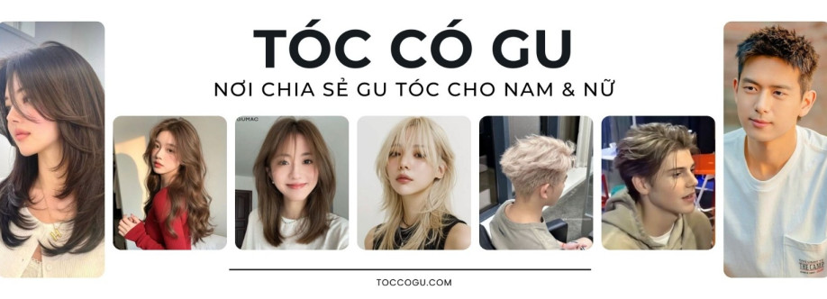 toccogu com Cover Image