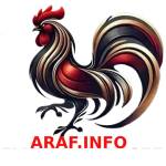 ĐÁ GÀ THOMO Profile Picture