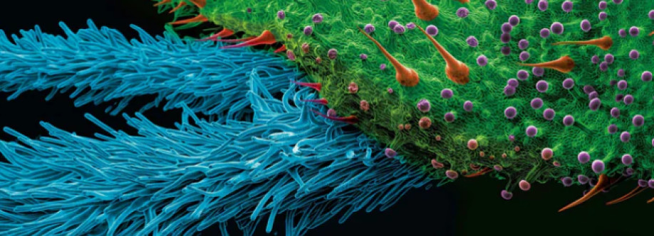 NU Venture LLC Cover Image