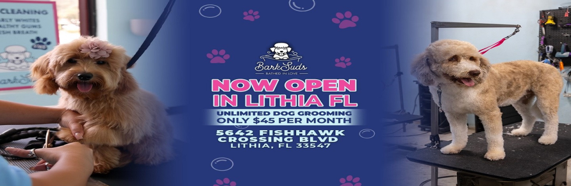 oviedobarksuds Cover Image