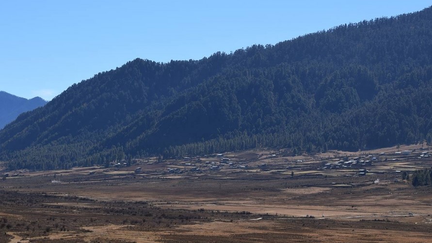 Phobjikha Valley | Black Neck Cranes Birds