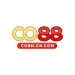 CO88 ICNCOM Profile Picture
