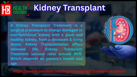 Kidney Transplant Treatment - JustPaste.it