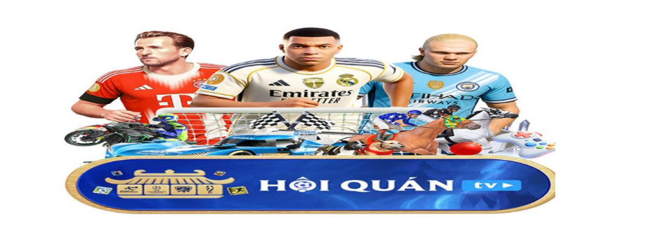 Hoiquantv 247com Cover Image