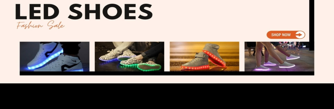 LEDSHOE Cover Image
