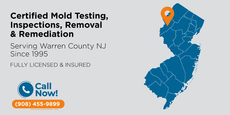 Mold Removal & Remediation Warren County, NJ | Mold Inspection & Testing